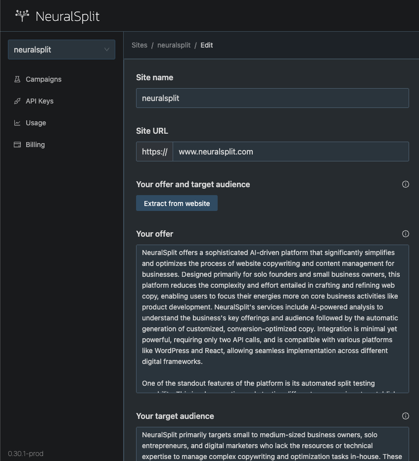 Create a website and automatically extract business offer and target audience